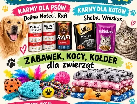 Zbiórka dla schroniska w Radlinie Wielkopolskim – Samorząd Uczniowski zaprasza do pomocy